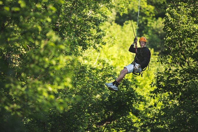 Minnesota River Valley 14-Line Thrilling Zipline Canopy Tour - What the 14 lines add to the value