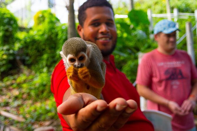 Monkey Enconter & Zip line Adventure - Key points to know before booking