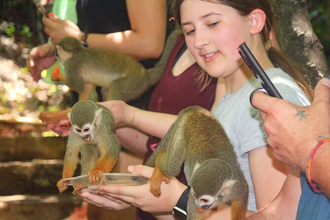 Monkey Enconter & Zip line Adventure - What the three-hour schedule really means