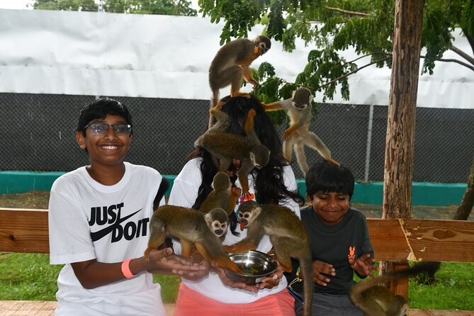 Monkey Encounter and Zip Line Tour from Amber Cove and Taino Bay - Thirty minutes with squirrel monkeys in Puerto Plata