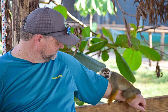 Monkey Encounter and Zip Line Tour from Amber Cove and Taino Bay - Price, timing, and who gets the most value
