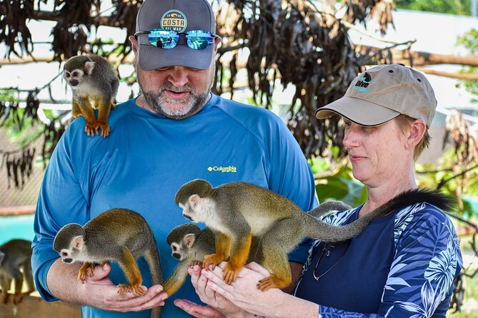 Monkey Encounter and Zip Line Tour from Amber Cove and Taino Bay - Who should book this Puerto Plata excursion?