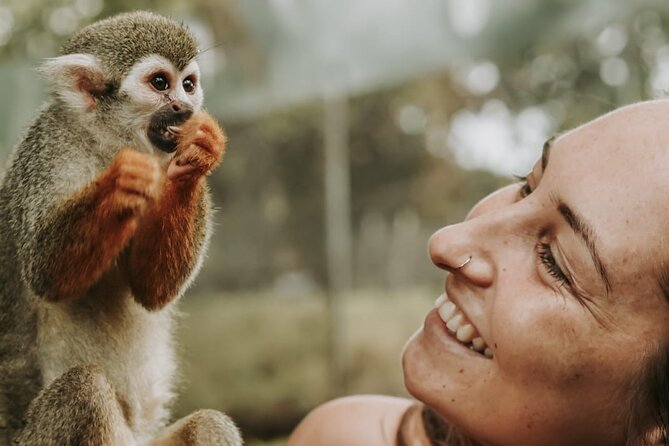 Monkey Jungle with Zip line - A Four-Hour Route Through Puerto Plata and Sosua