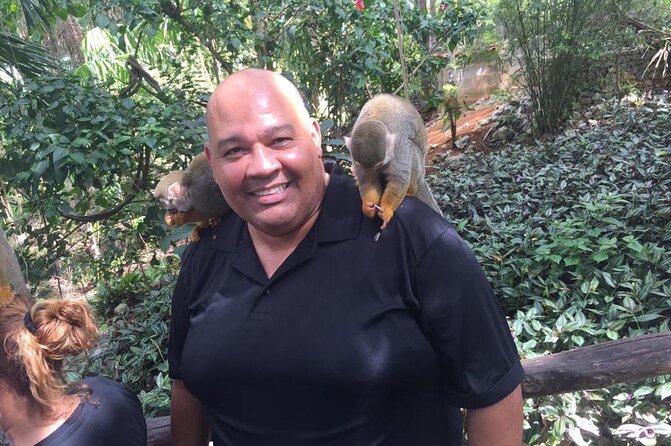 Monkey Jungle with Zip line - Is $125 a Fair Price?