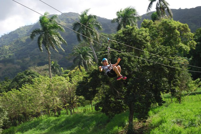 Monkeyland and Zipline Adventure from Puerto Plata - Monkeyland and the squirrel monkeys