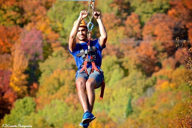 Mont-Catherine Ziplines - Key points to know
