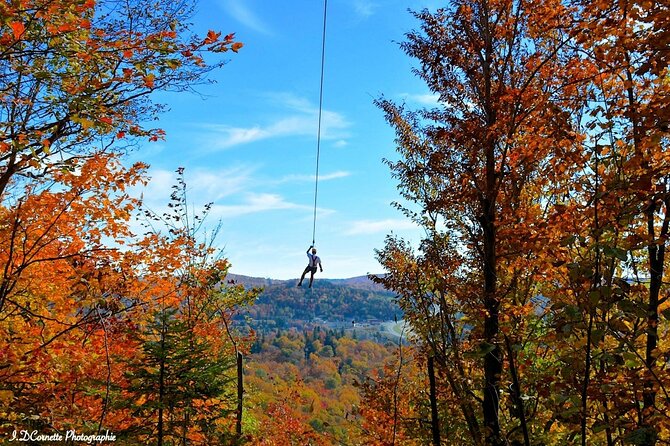 Mont-Catherine Ziplines - Four long flights, not one quick thrill