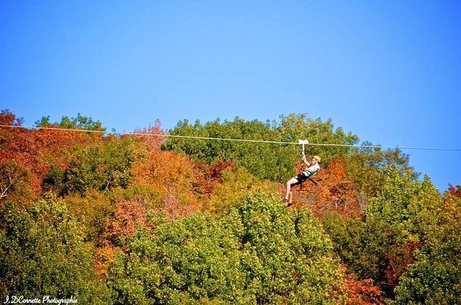 Mont-Catherine Ziplines - A family outing with real physical demands
