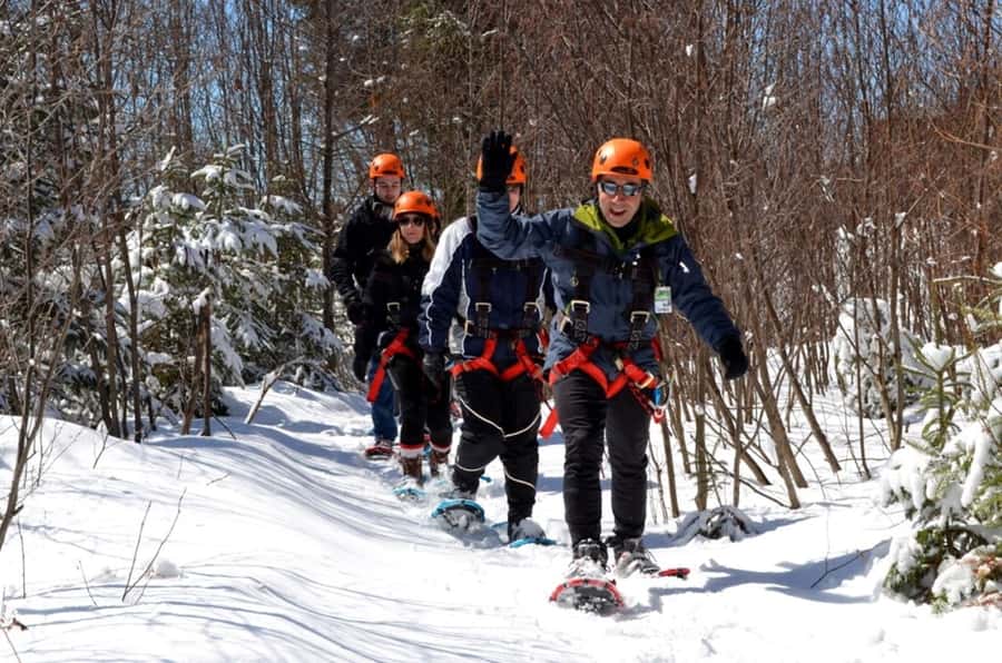 Mont-Catherine: Ziplines & Hike - Guides, Language, and Family Feel