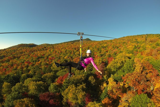 Mont Tremblant Guided Zipline Tour - Why the five-line route is the main event