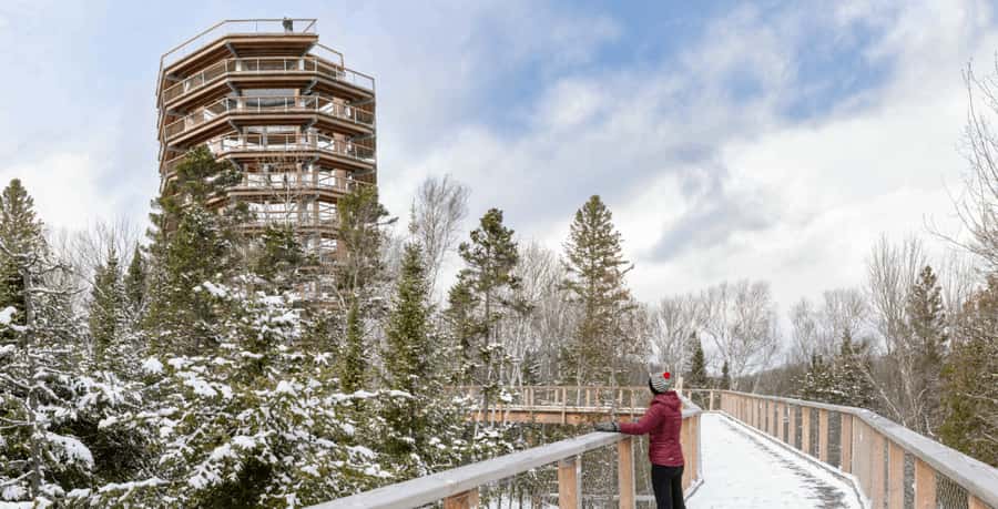 Mont-Tremblant: Treetop Observatory and Self-Guided Walk - A treetop view without a hard mountain hike