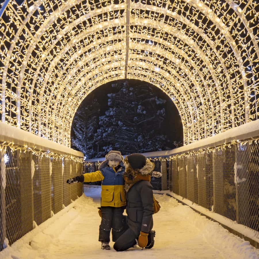 Mont-Tremblant: Treetop Observatory and Self-Guided Walk - Reaching the 40-metre observatory