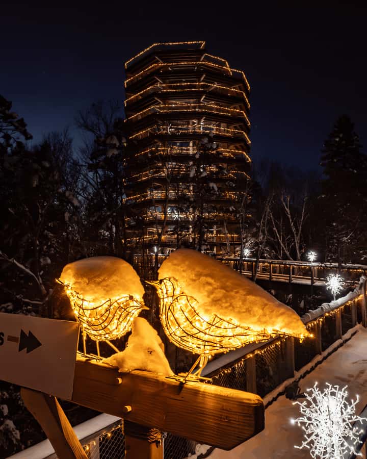 Mont-Tremblant: Treetop Observatory and Self-Guided Walk - Driving there from Mont-Tremblant, Montreal, or Ottawa