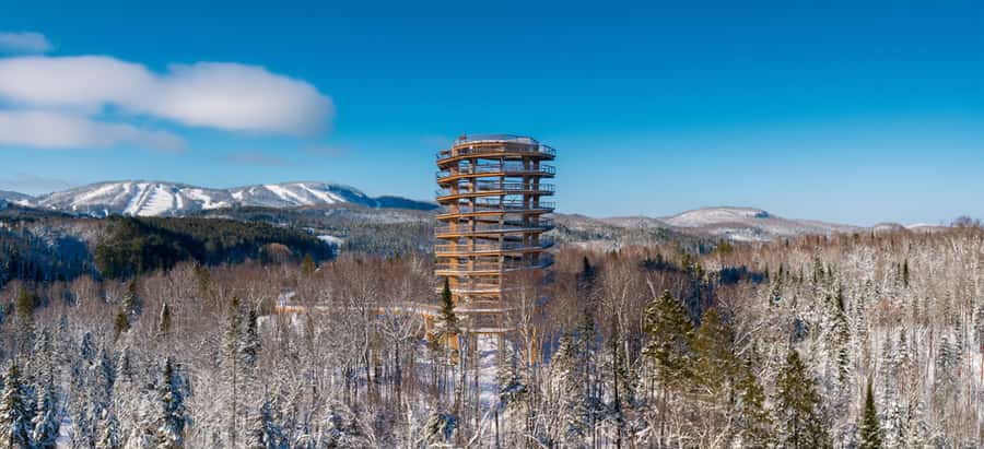 Mont-Tremblant: Treetop Observatory and Self-Guided Walk - Following the nearly one-kilometre forest path