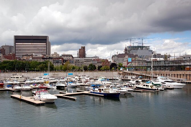 Montreal Zipline Adventure - Key points before you book