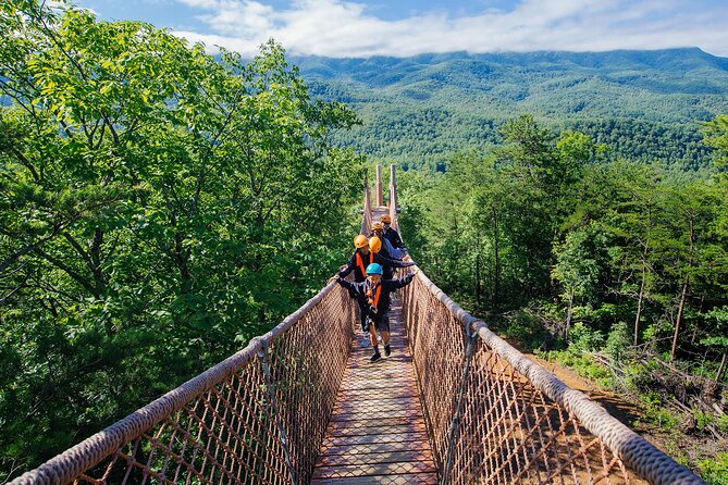 Mountaintop Zipline 2-Hours Activity - Quick take: what makes this tour worth considering