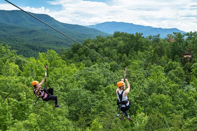 Mountaintop Zipline 2-Hours Activity - Six dual lines above the Smokies
