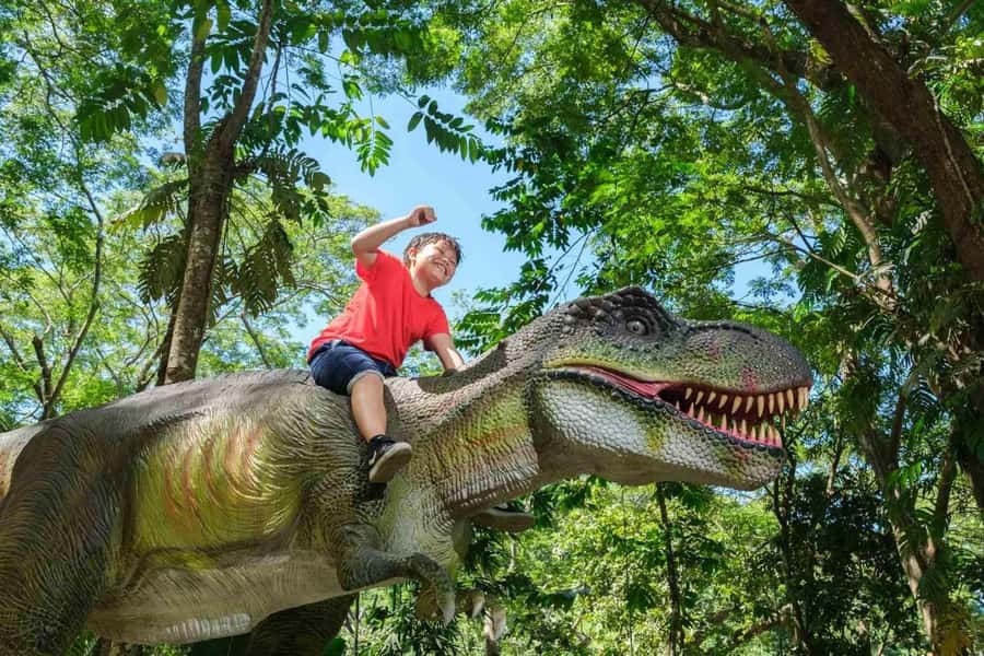 Nadi: Zipline, Waterfalls, and Jungle Safari Tour with Lunch - Is the $88 Price Good Value?