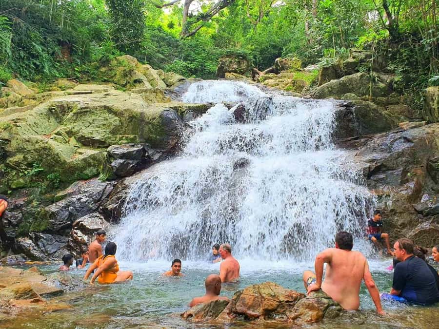 Nadi: Zipline, Waterfalls, and Jungle Safari Tour with Lunch - Booking and Cancellation Details