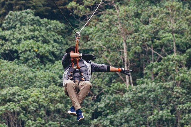 Nairobi Zip Lining Adventure Experience - Why the private format matters