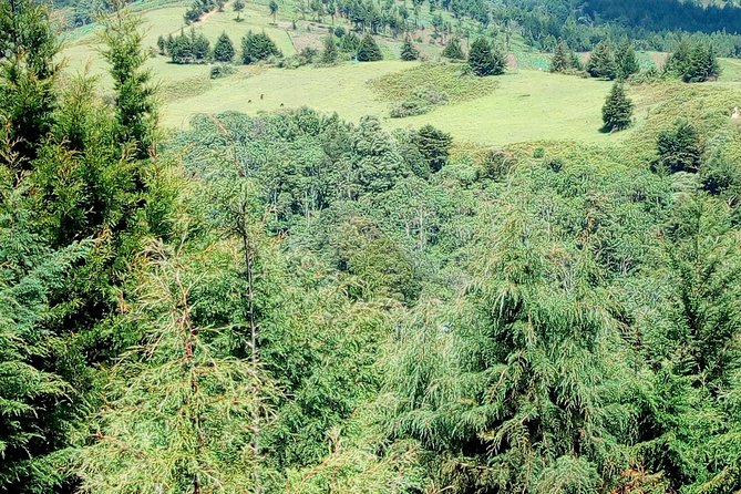 Nairobi Zip Lining Adventure Experience - Who will enjoy this outing most