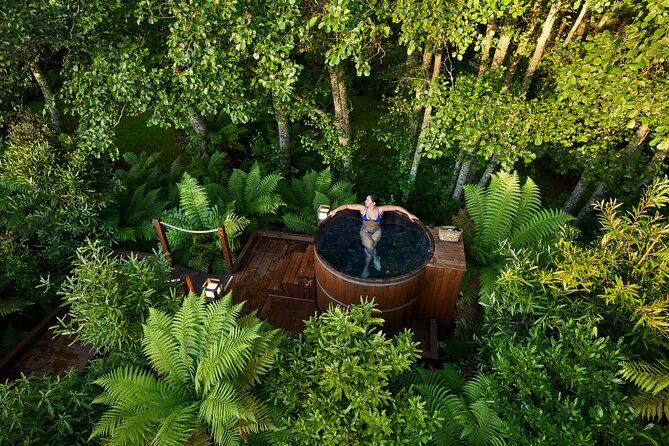 Nature at its best Lake Tarawera Treetop Walk and Forest Spas - Key points at a glance