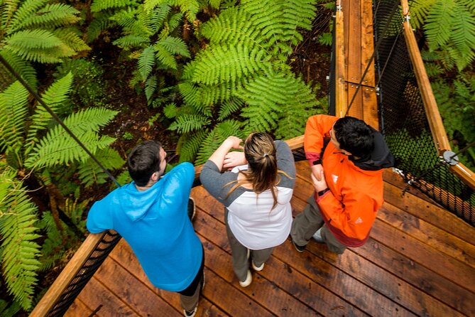 Nature at its best Lake Tarawera Treetop Walk and Forest Spas - What the small group changes