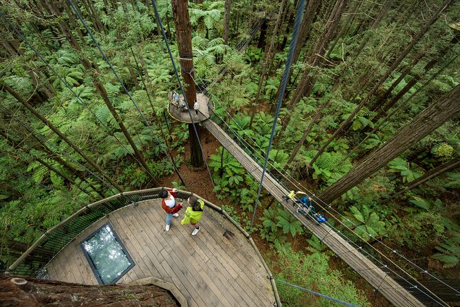 Nature at its best Lake Tarawera Treetop Walk and Forest Spas - Practical details before you book