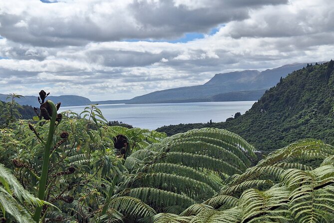 Nature at its best Lake Tarawera Treetop Walk and Forest Spas - Secret Spot Hot Tubs and a useful lunch pause