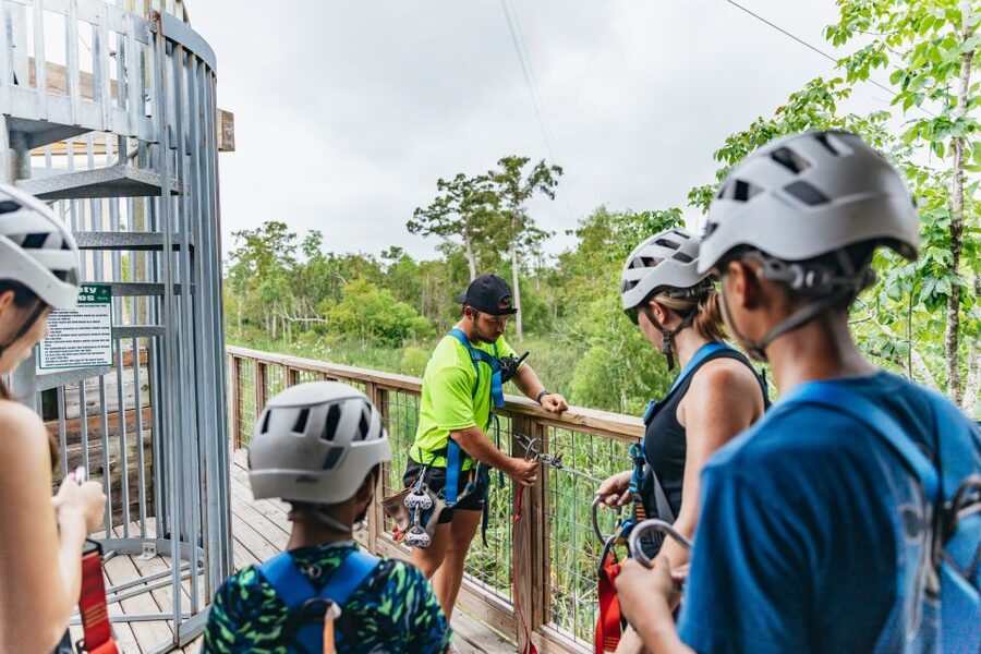 New Orleans: Swamp Zipline Tour - Key points to know before you book