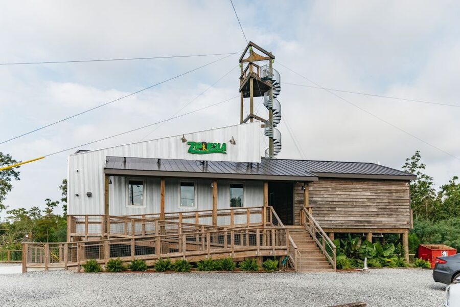 New Orleans: Swamp Zipline Tour - Practical preparation for a smoother outing