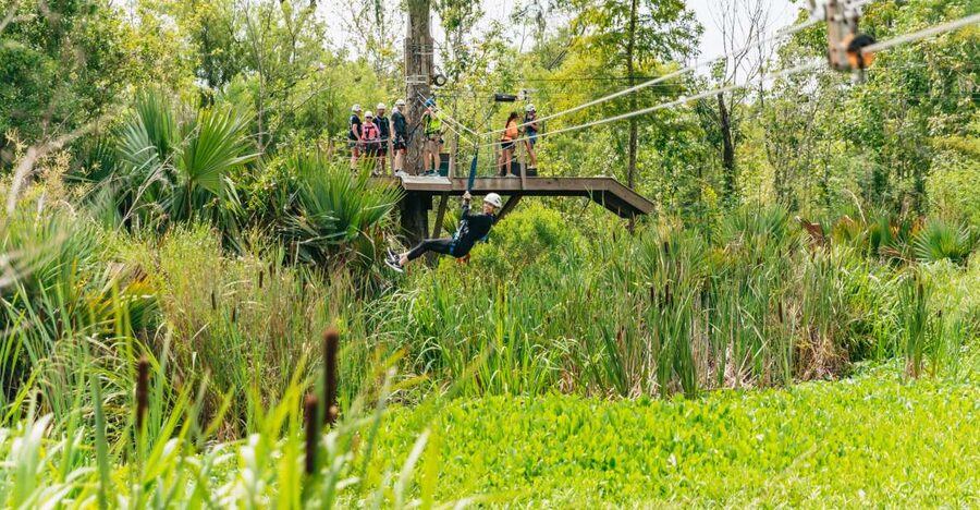 New Orleans: Swamp Zipline Tour - From New Orleans to the Maurepas Swamp