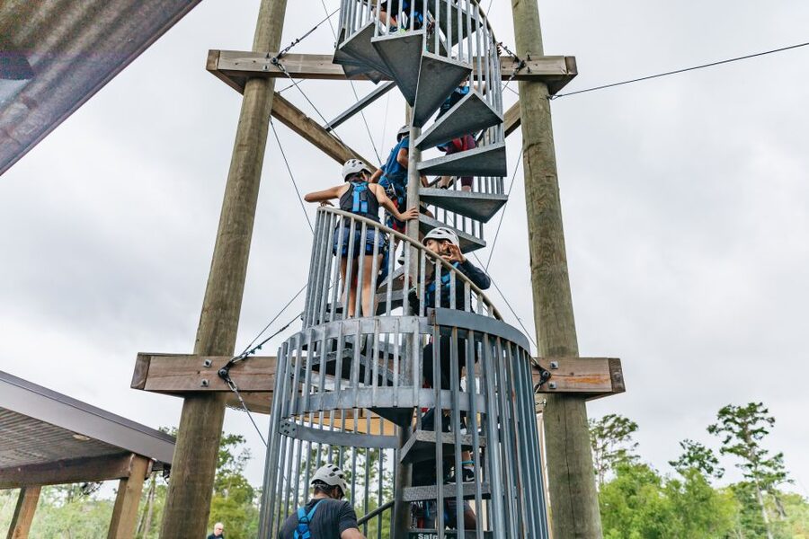 New Orleans: Swamp Zipline Tour - Suspension bridges and the cypress staircase