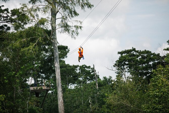 New Orleans Zipline Swamp Tour - Key points to know before you book
