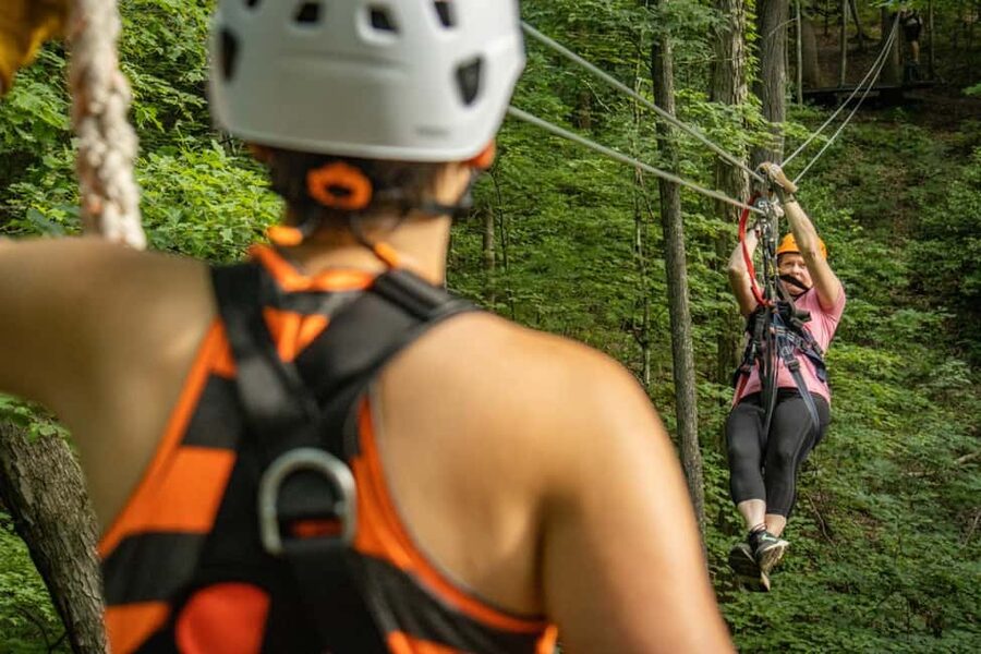 New River Gorge: TreeTops Zipline Tour - Key points at a glance