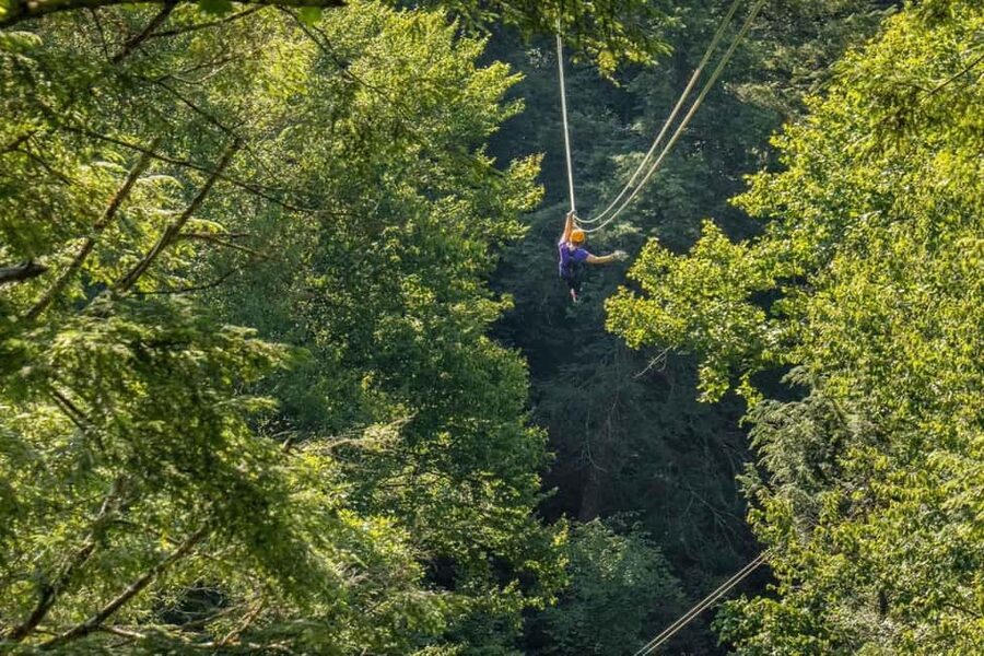 New River Gorge: TreeTops Zipline Tour - What the $92 price buys you