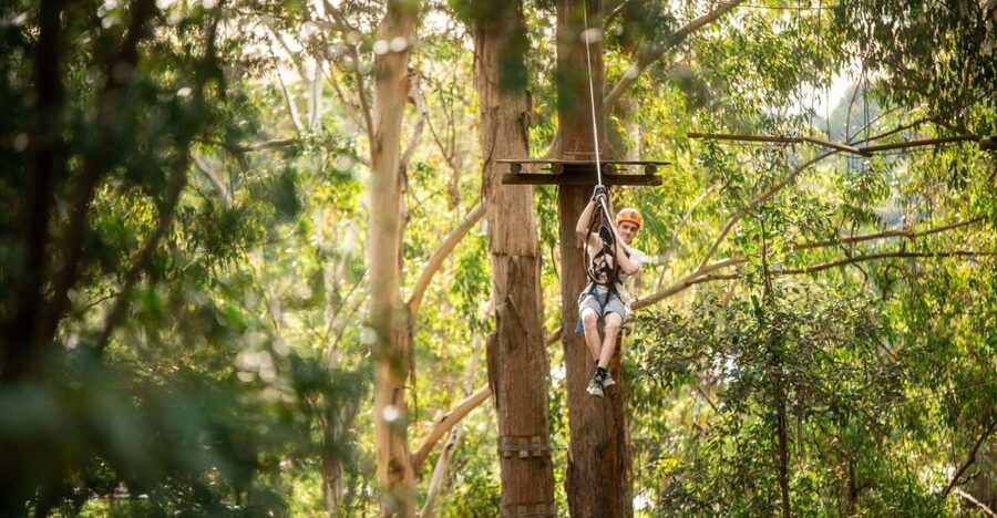 Newcastle: Tree Ropes Course Adventure - Key points at a glance