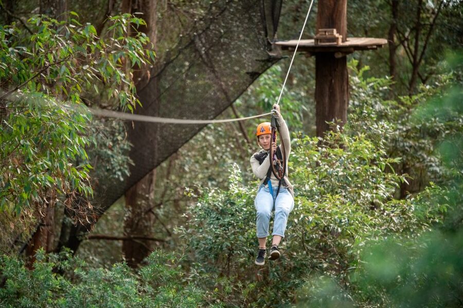Newcastle: Tree Ropes Course Adventure - Moving through 90 aerial challenges