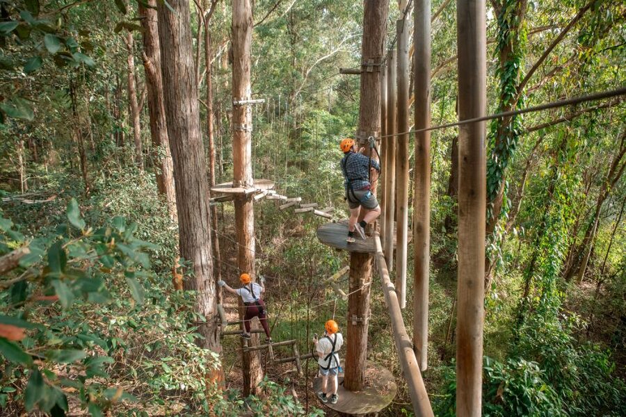 Newcastle: Tree Ropes Course Adventure - Getting started with helmet, harness, and gloves