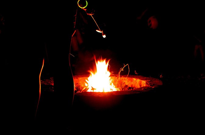 Night Zipline: 3 Zipline Adrenaline Adventure - Should you book the night zipline?