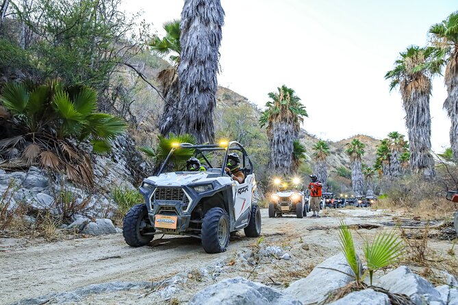Night Ziplines & UTV Adventure + Mexican Parrillada - MoonZipping after dark