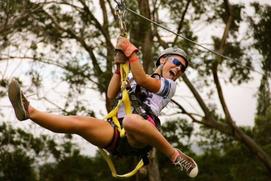 North Maui: 7 Line Zipline Adventure with Ocean Views - Seven lines through giant eucalyptus trees