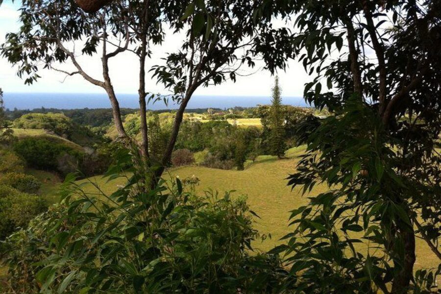 North Maui: 7 Line Zipline Adventure with Ocean Views - My take: a lively course with useful extras