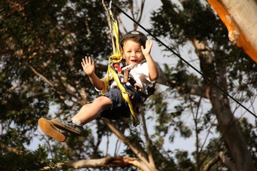 North Maui: 7 Line Zipline Adventure with Ocean Views - Should you book the North Maui 7 Line Zipline Adventure?