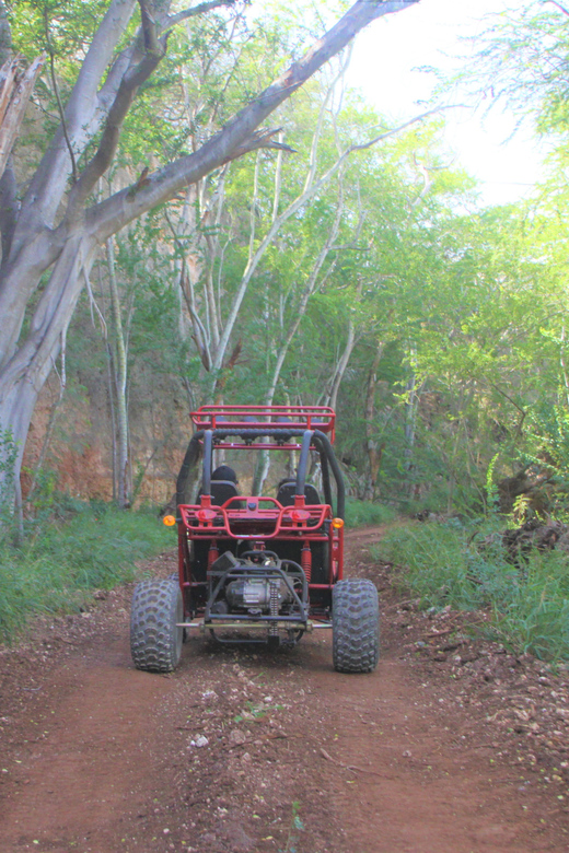 Oahu: Coral Crater Zipline and Offroad ATV Adventure - Quick points to know