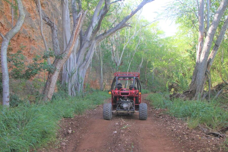 Oahu: Coral Crater Zipline and Offroad ATV Adventure - My take on the two-part experience