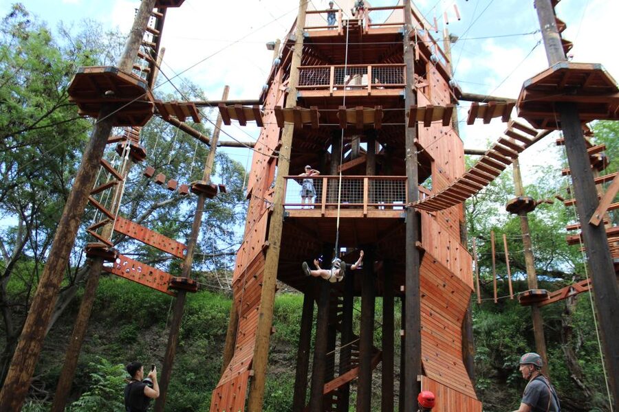 Oahu: High Ropes Adventure, Climbing, & Rappel Experience - Testing the climbing wall at your own level