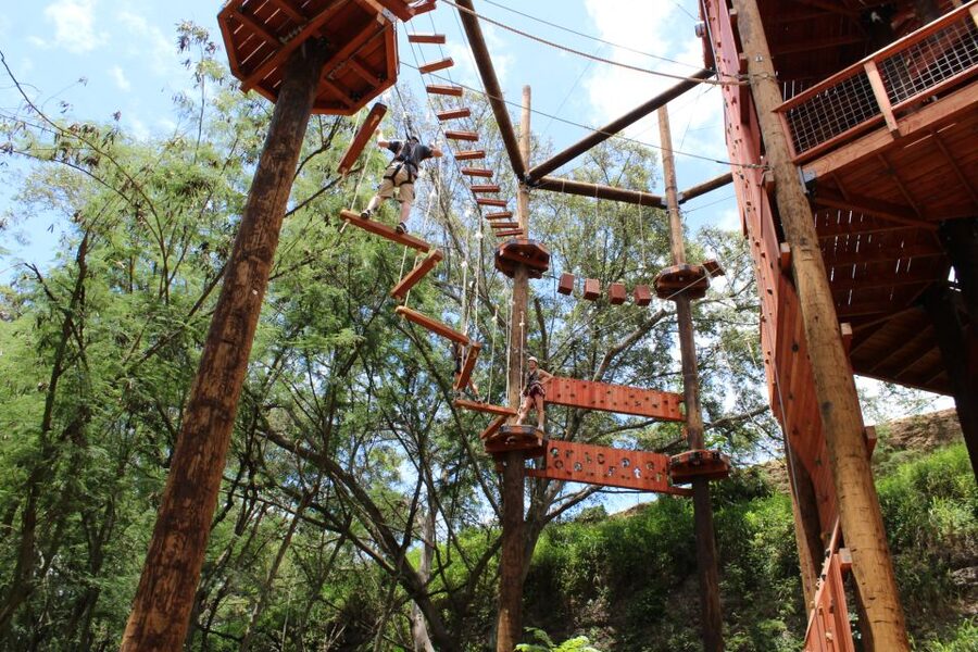 Oahu: High Ropes Adventure, Climbing, & Rappel Experience - The 18-element High Ropes Course