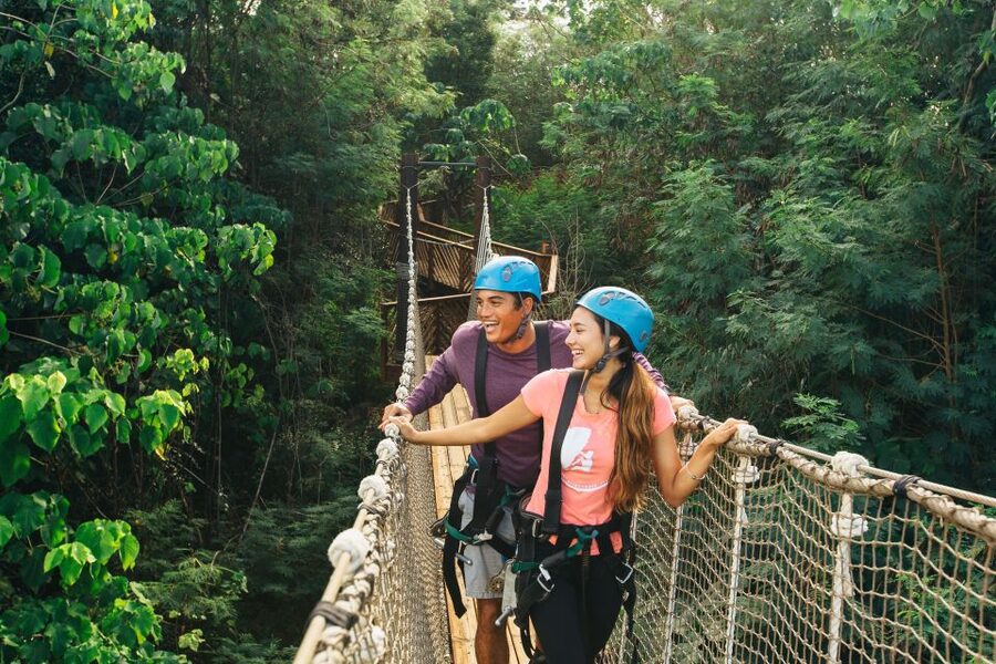 Oahu: North Shore Zip Line Adventure with ATV and Farm Tour - At a glance