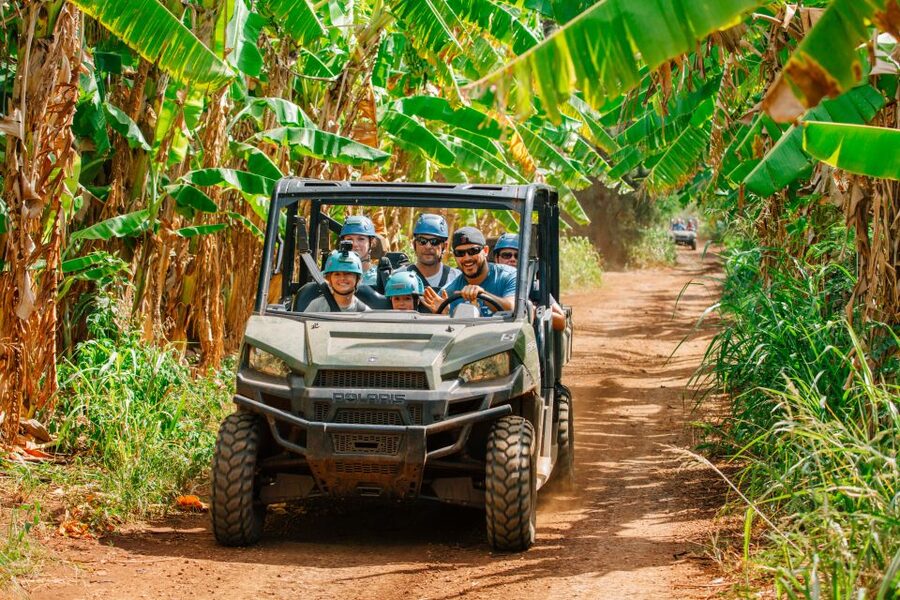 Oahu: North Shore Zip Line Adventure with ATV and Farm Tour - Is $251 a fair price?